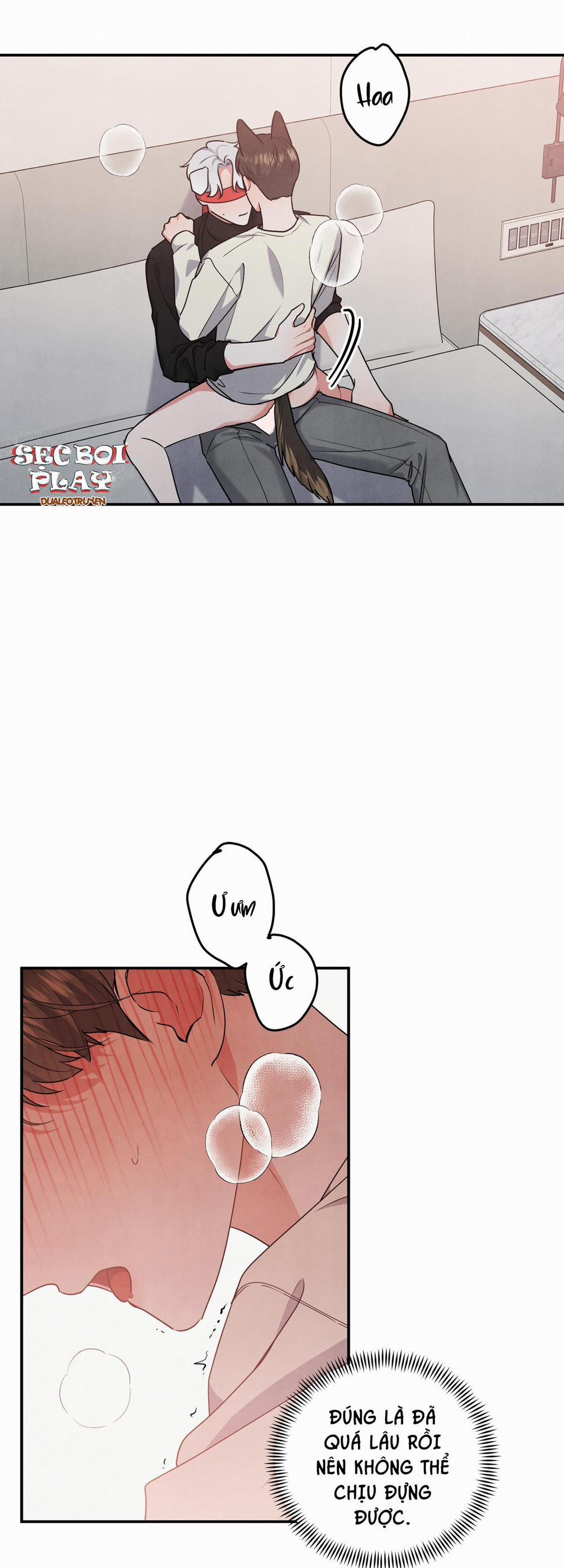 Mối Quan Hệ Giữa Chó Và Cún 29 trang 4