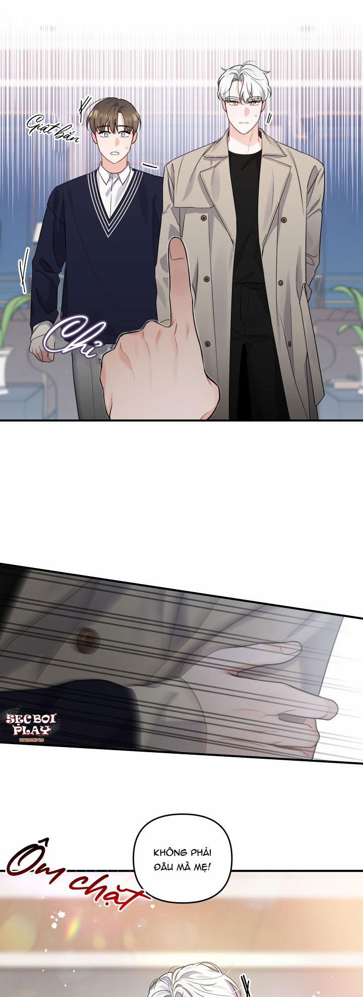 Mối Quan Hệ Giữa Chó Và Cún 3 trang 15