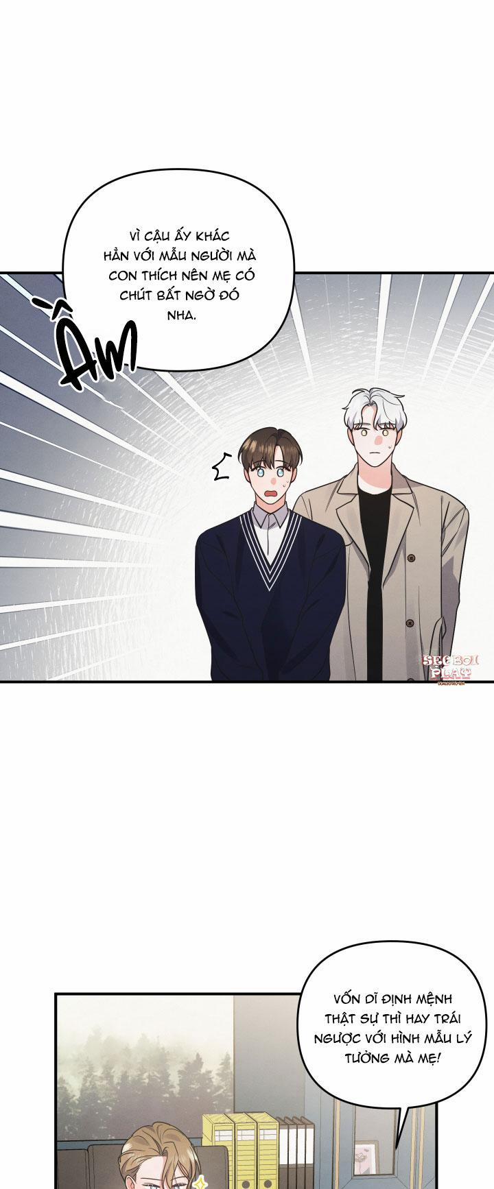 Mối Quan Hệ Giữa Chó Và Cún 3 trang 4