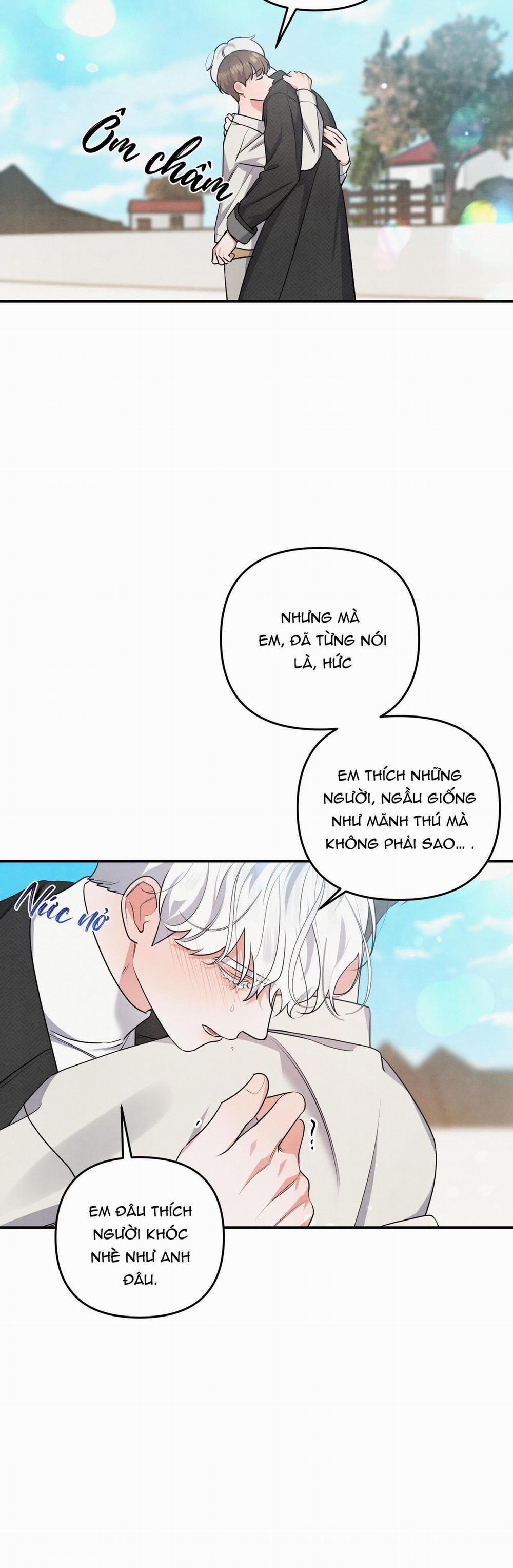 Mối Quan Hệ Giữa Chó Và Cún 31 trang 33