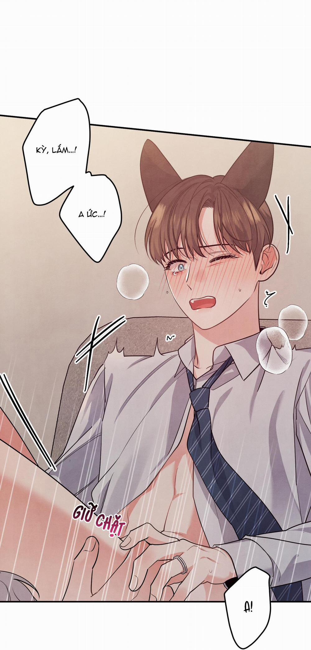 Mối Quan Hệ Giữa Chó Và Cún 38.2 trang 41