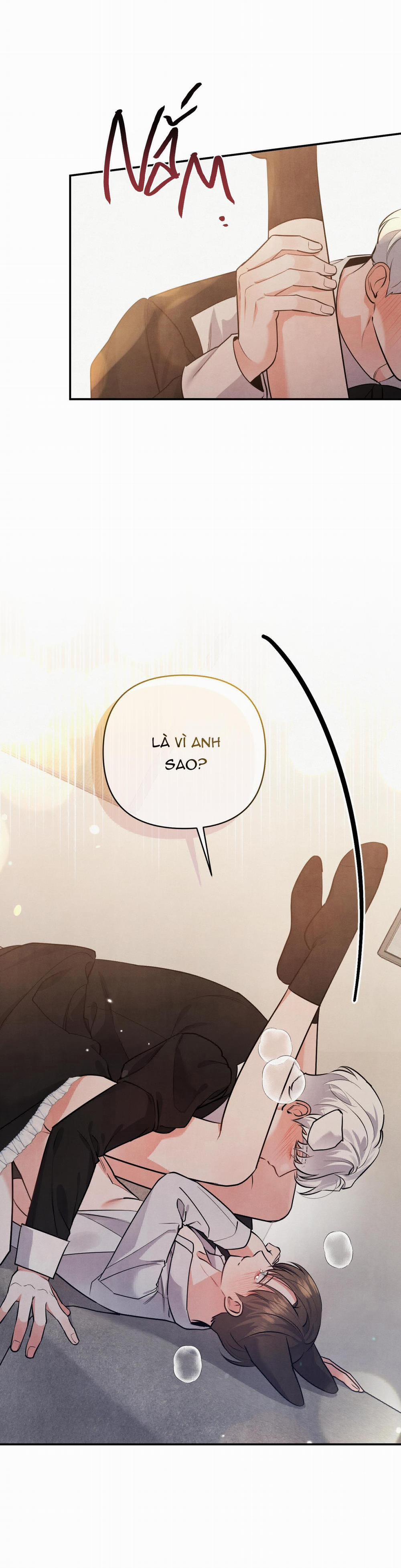 Mối Quan Hệ Giữa Chó Và Cún 38.3 trang 10