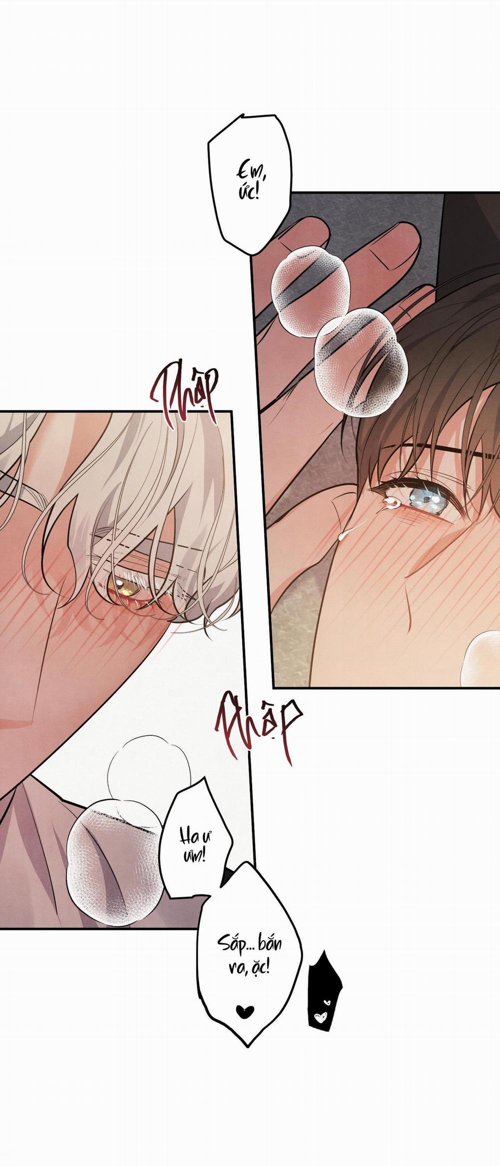 Mối Quan Hệ Giữa Chó Và Cún 38.3 trang 17