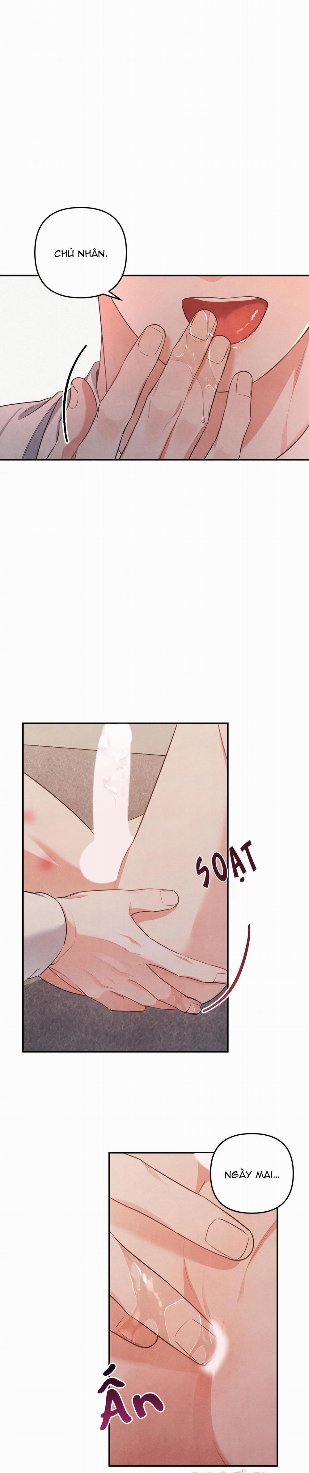 Mối Quan Hệ Giữa Chó Và Cún 40 trang 3