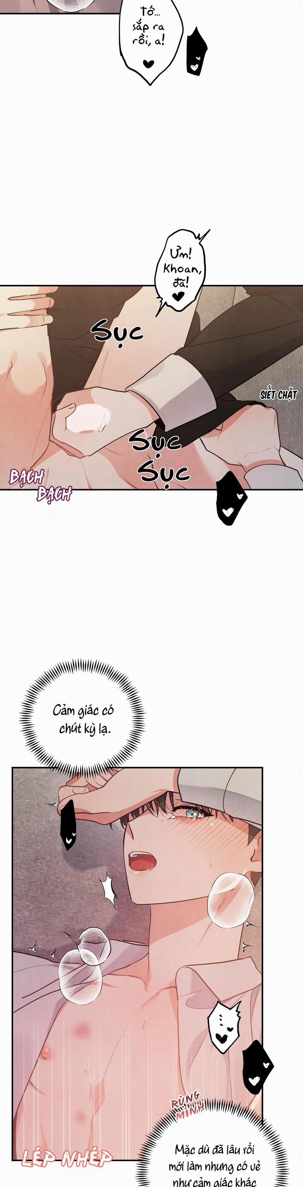 Mối Quan Hệ Giữa Chó Và Cún 41 trang 11