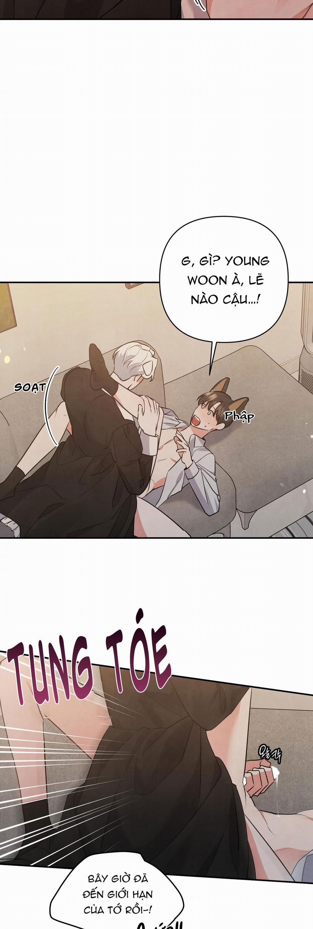 Mối Quan Hệ Giữa Chó Và Cún 41 trang 16