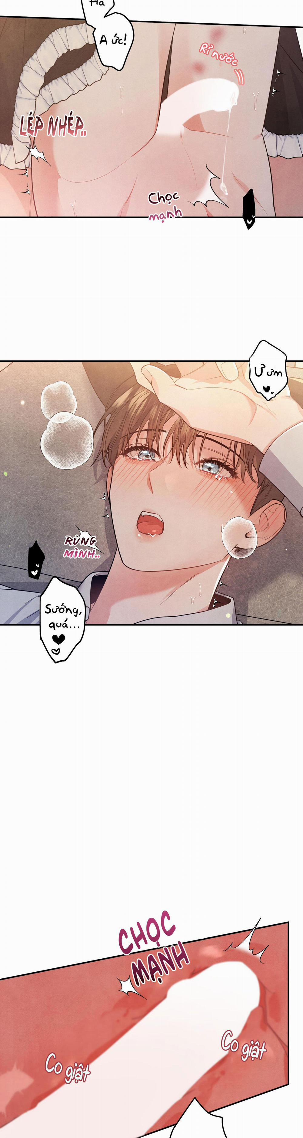 Mối Quan Hệ Giữa Chó Và Cún 41 trang 2