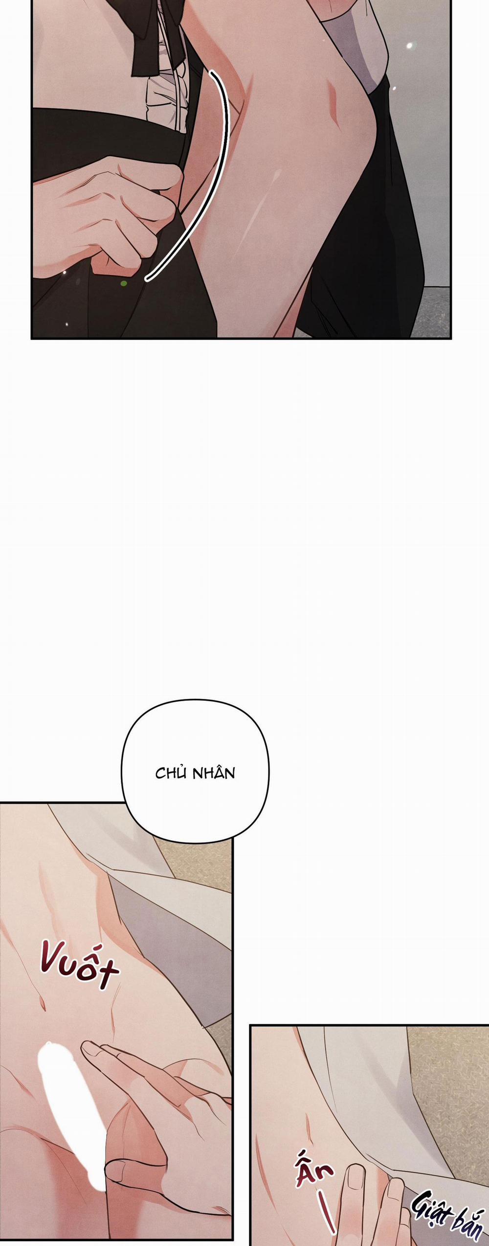 Mối Quan Hệ Giữa Chó Và Cún 41 trang 4