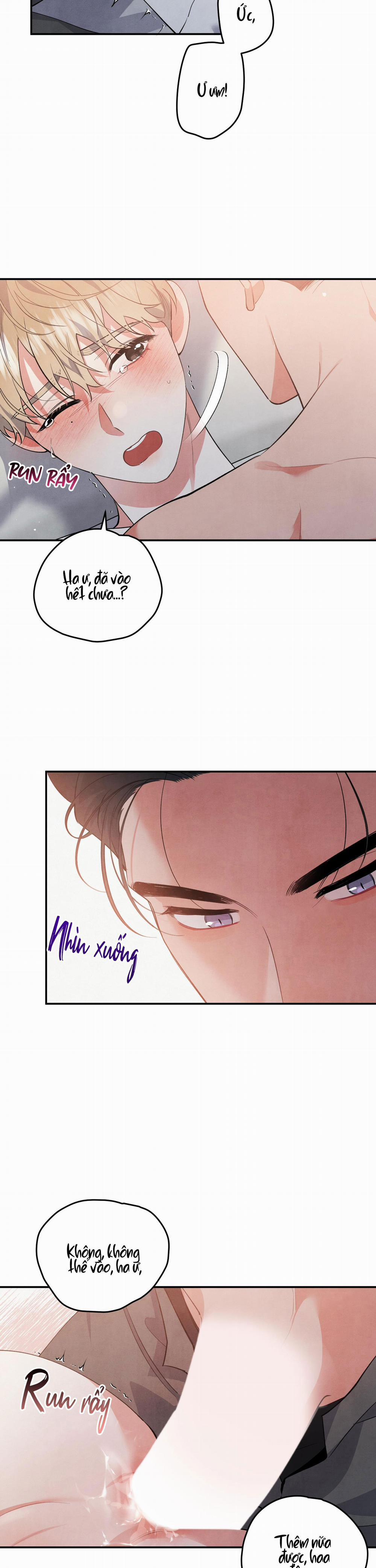 Mối Quan Hệ Giữa Chó Và Cún 48 trang 10