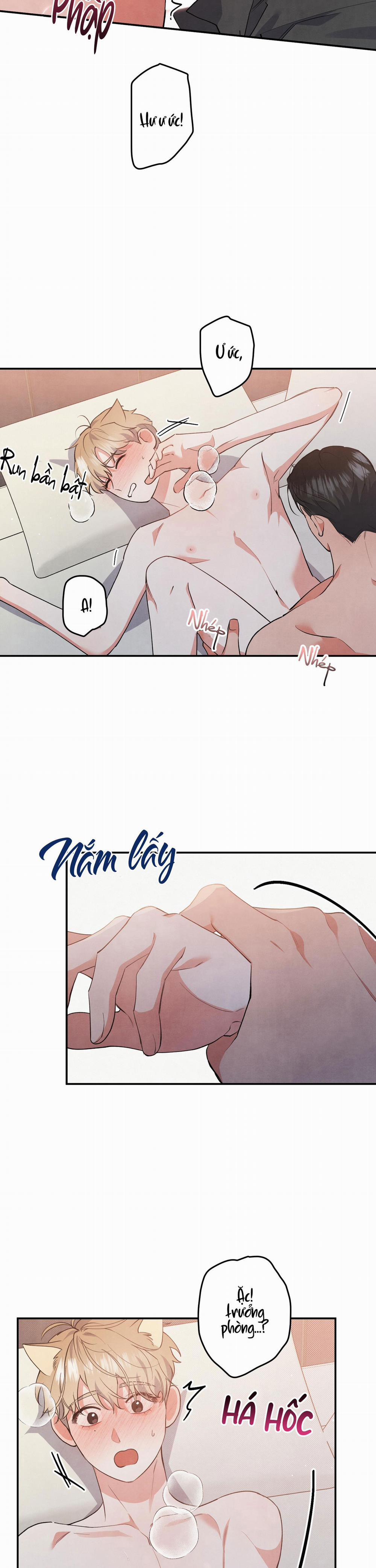 Mối Quan Hệ Giữa Chó Và Cún 48 trang 14