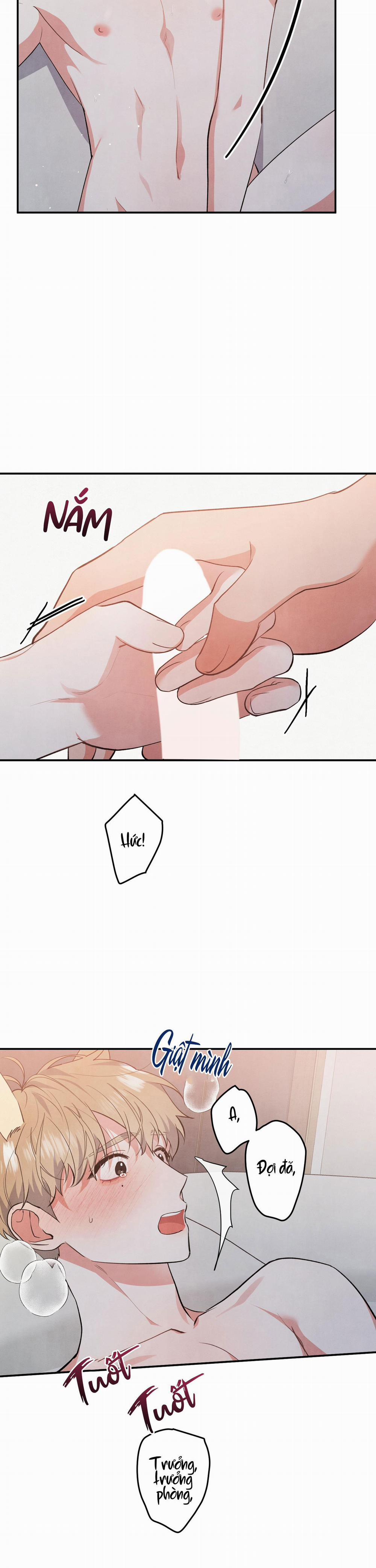 Mối Quan Hệ Giữa Chó Và Cún 48 trang 15