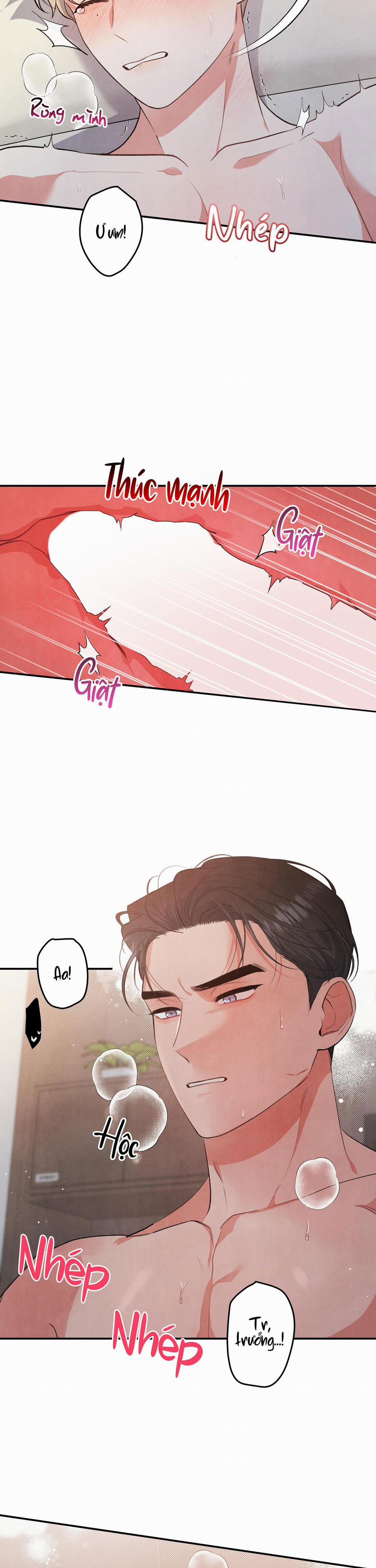 Mối Quan Hệ Giữa Chó Và Cún 48 trang 17