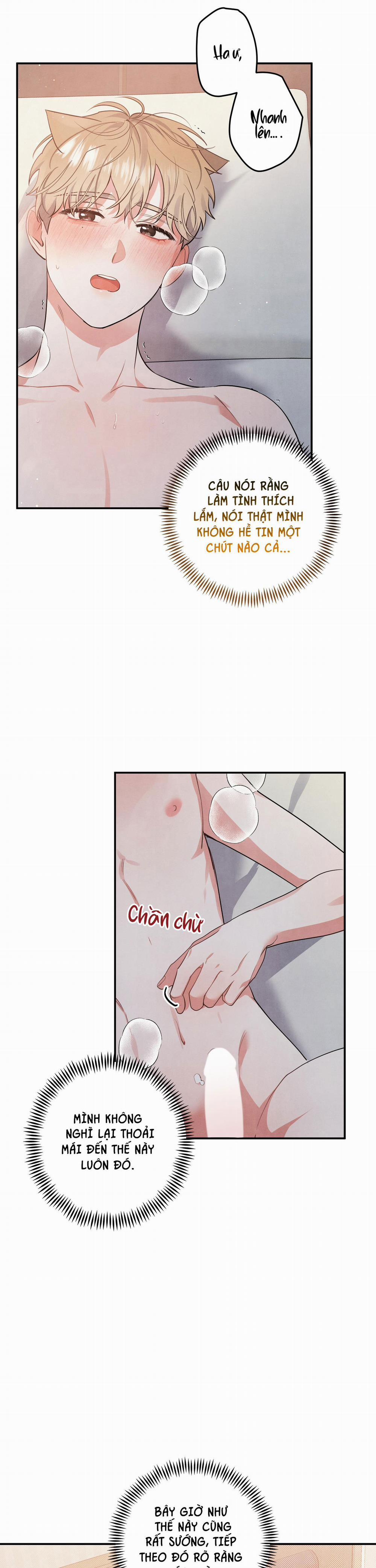 Mối Quan Hệ Giữa Chó Và Cún 48 trang 2