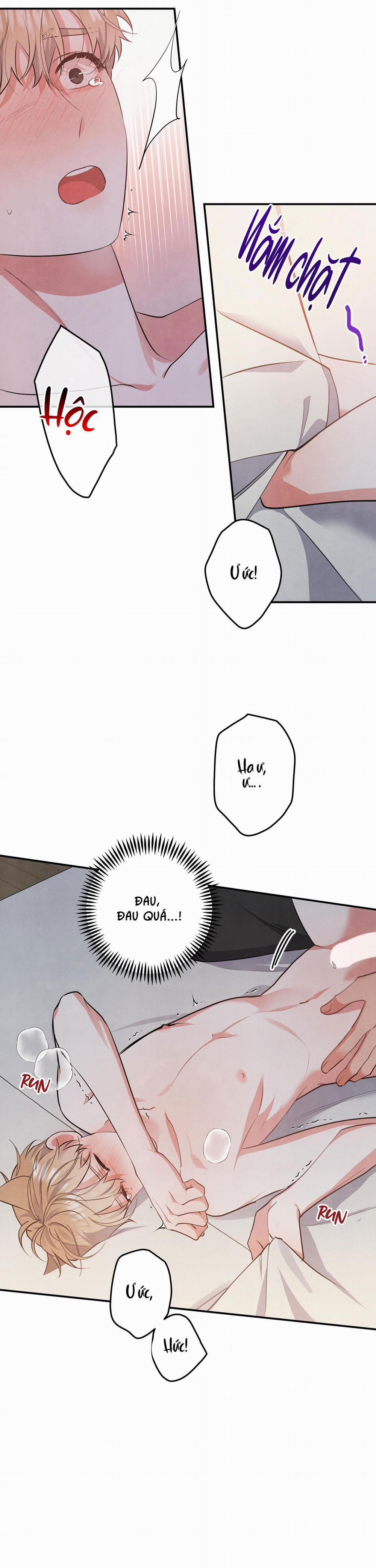 Mối Quan Hệ Giữa Chó Và Cún 48 trang 8