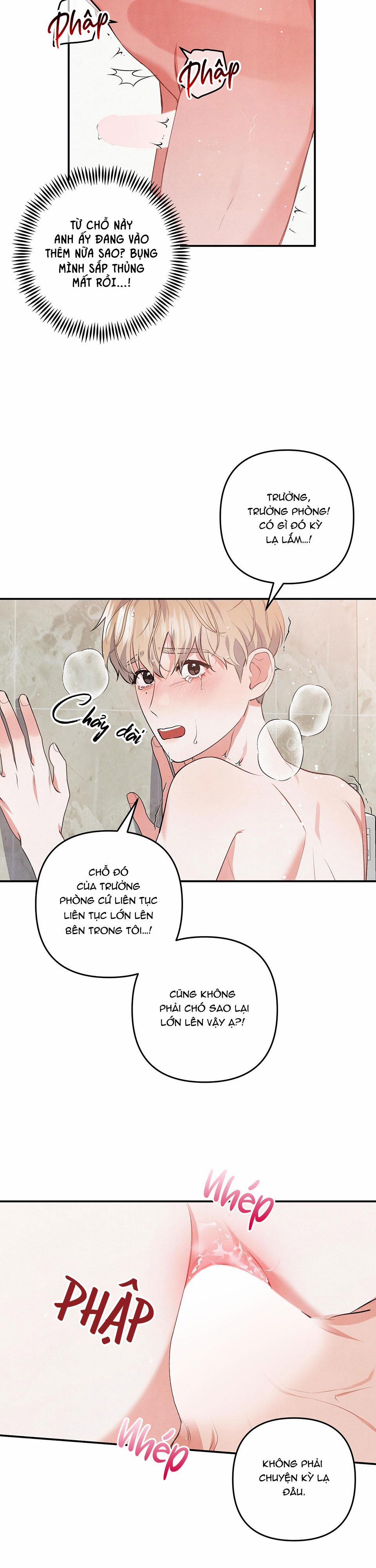 Mối Quan Hệ Giữa Chó Và Cún 52 trang 12