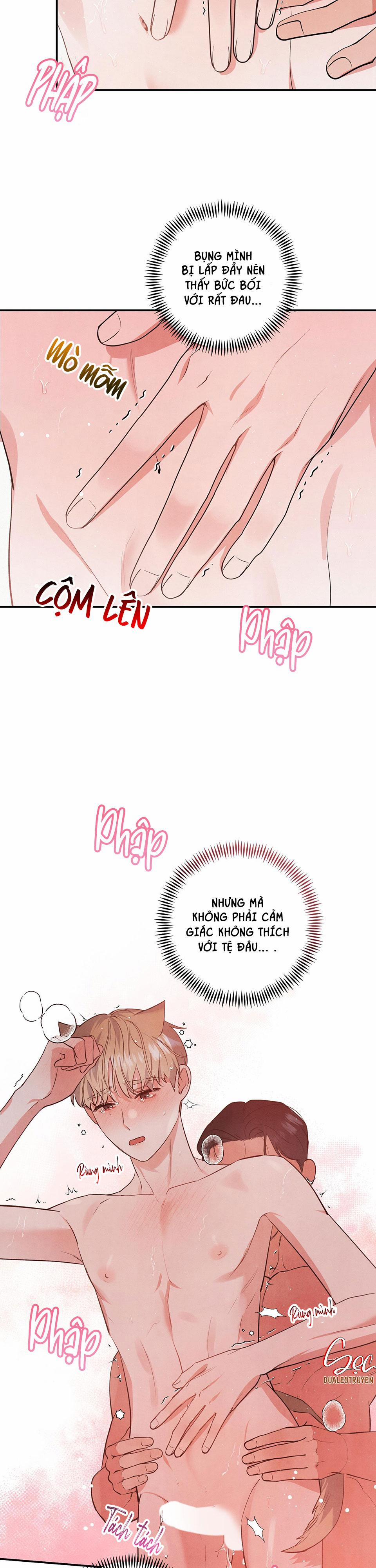 Mối Quan Hệ Giữa Chó Và Cún 52 trang 14