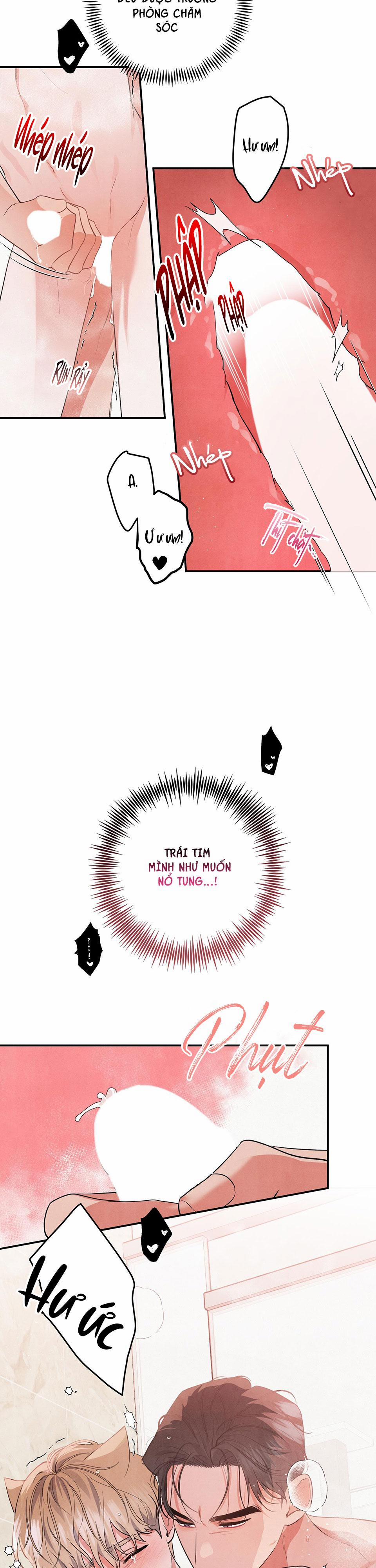 Mối Quan Hệ Giữa Chó Và Cún 52 trang 19