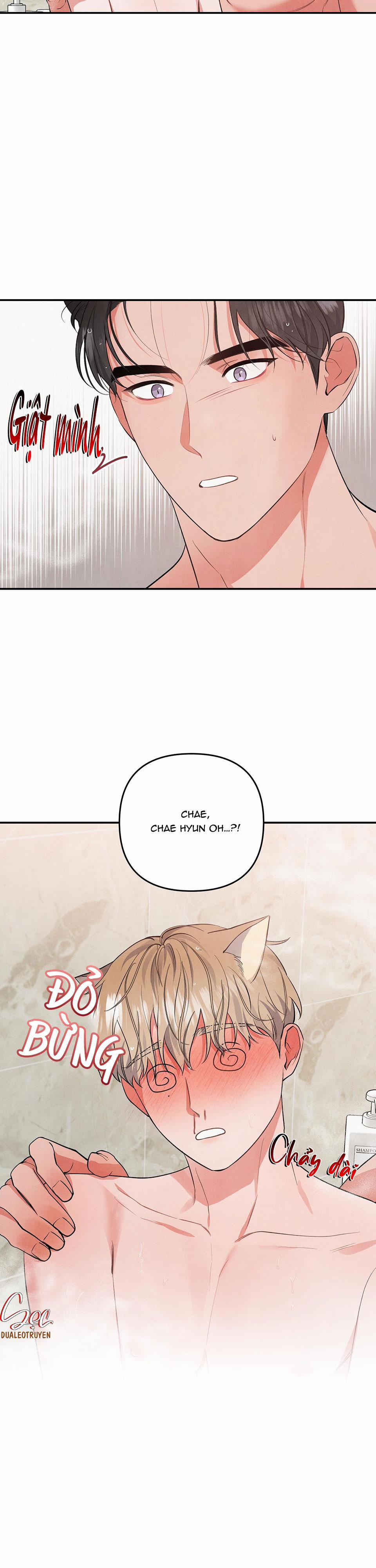 Mối Quan Hệ Giữa Chó Và Cún 52 trang 22