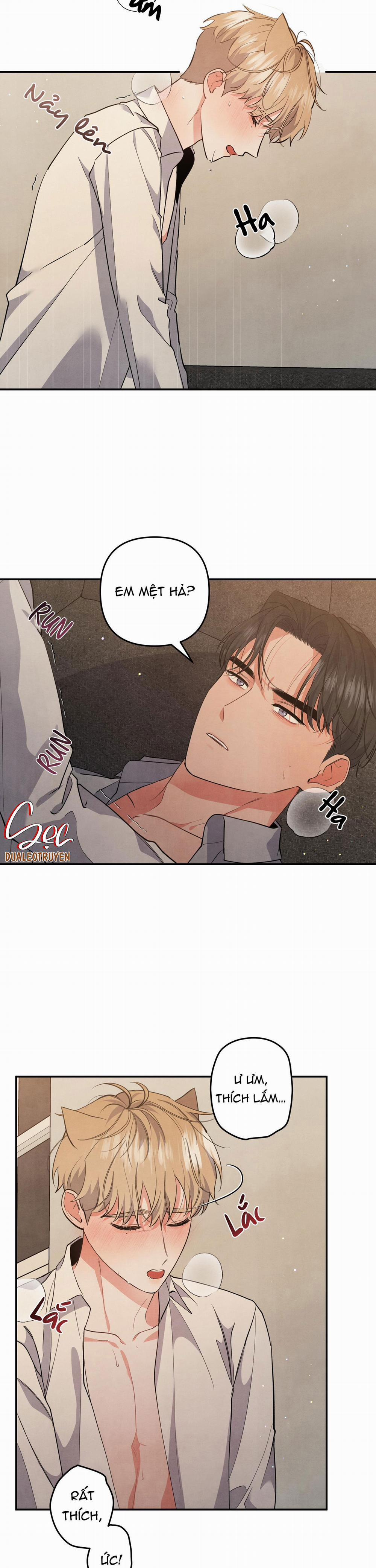 Mối Quan Hệ Giữa Chó Và Cún 55 trang 17