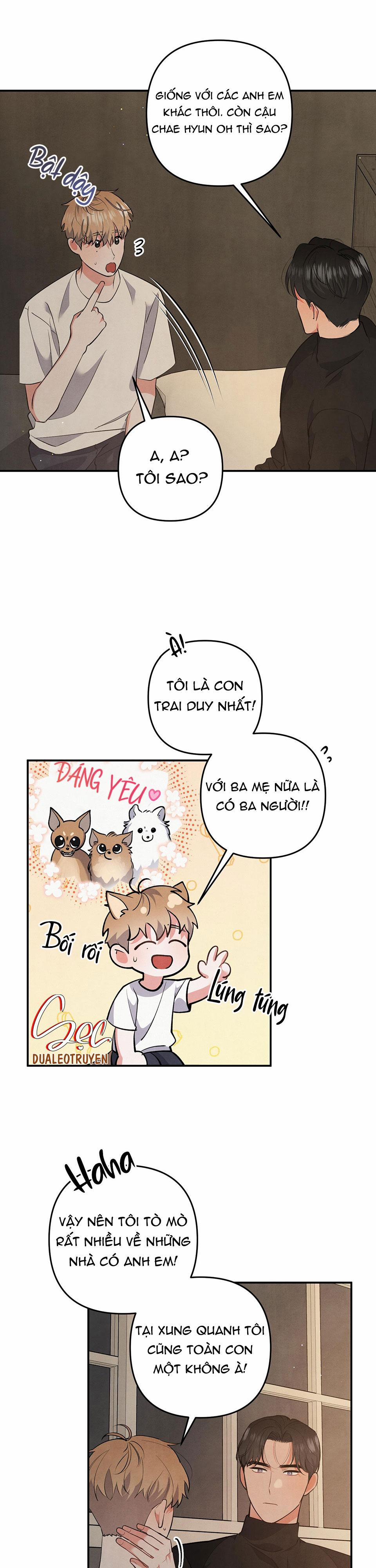 Mối Quan Hệ Giữa Chó Và Cún 56 trang 11