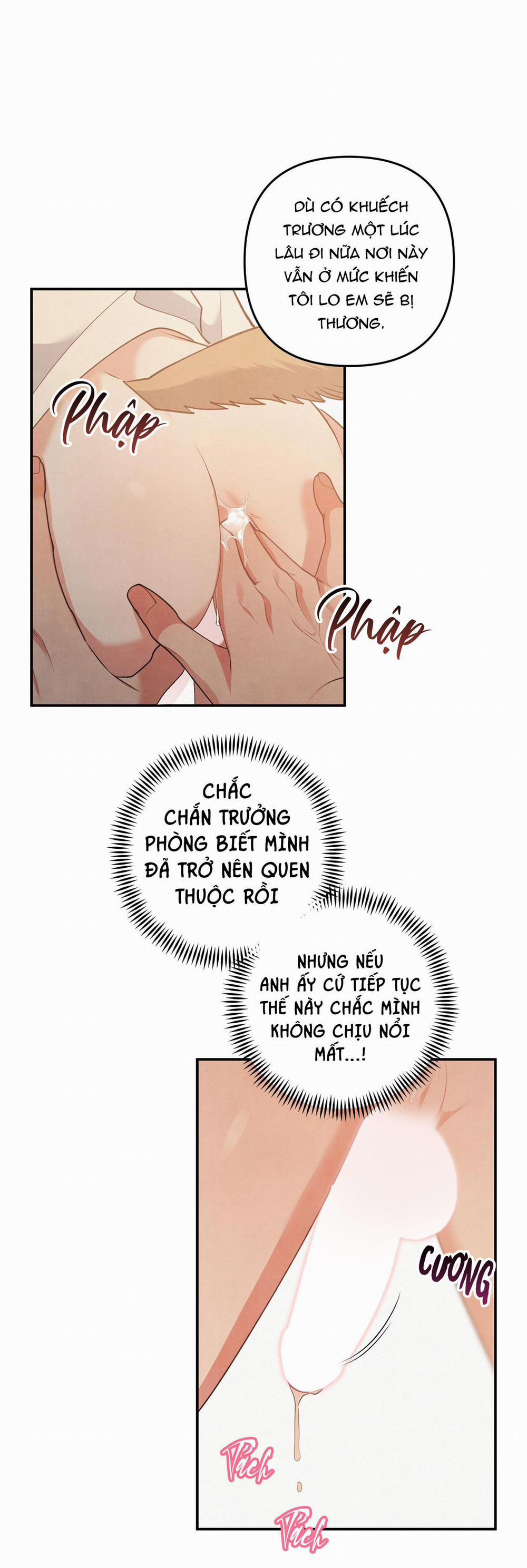 Mối Quan Hệ Giữa Chó Và Cún 62 trang 10