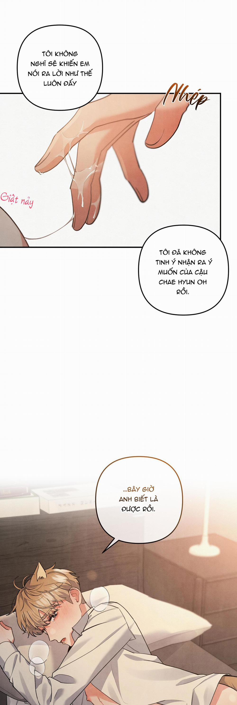 Mối Quan Hệ Giữa Chó Và Cún 62 trang 12