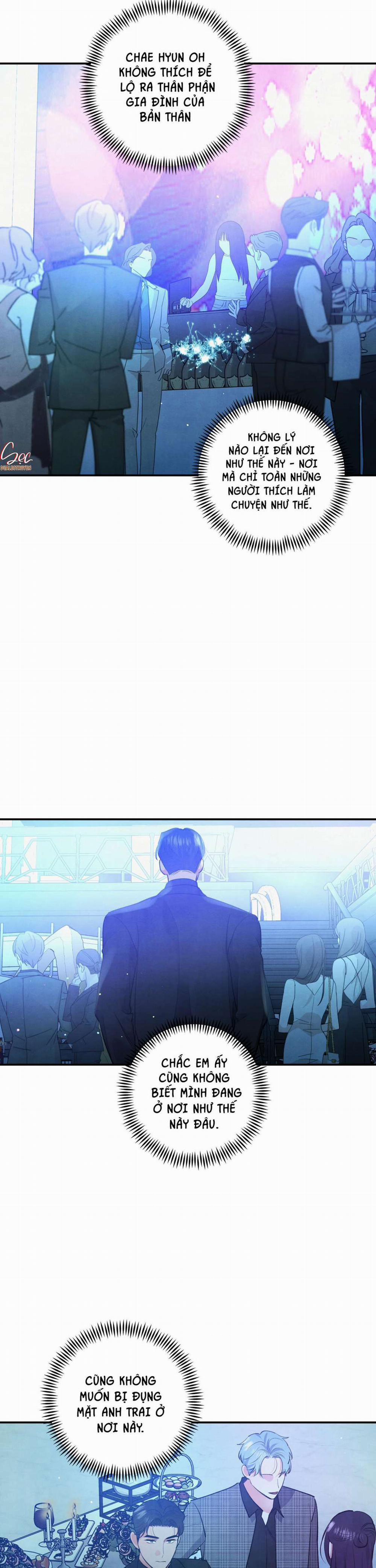 Mối Quan Hệ Giữa Chó Và Cún 67 trang 15