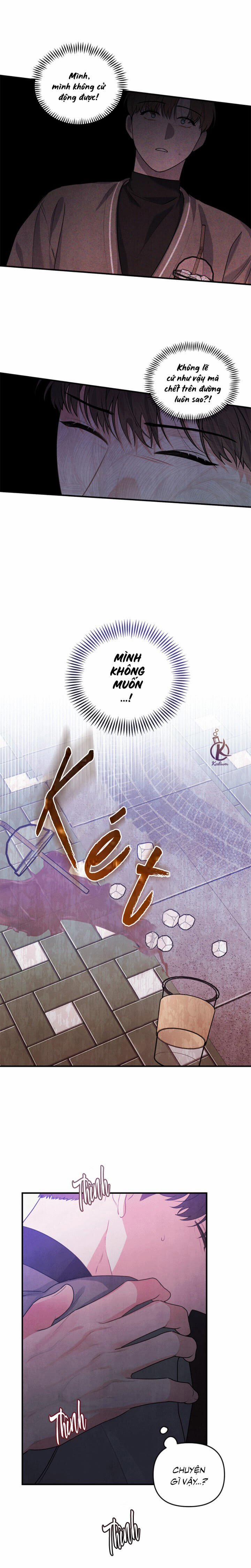 Mối Quan Hệ Giữa Chó Và Cún 7.5 trang 6