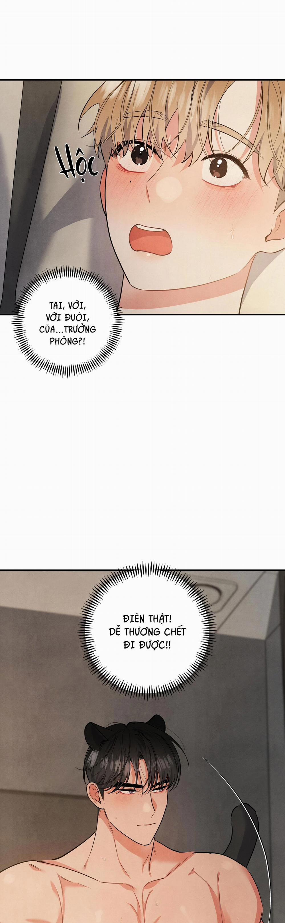 Mối Quan Hệ Giữa Chó Và Cún 71 trang 14