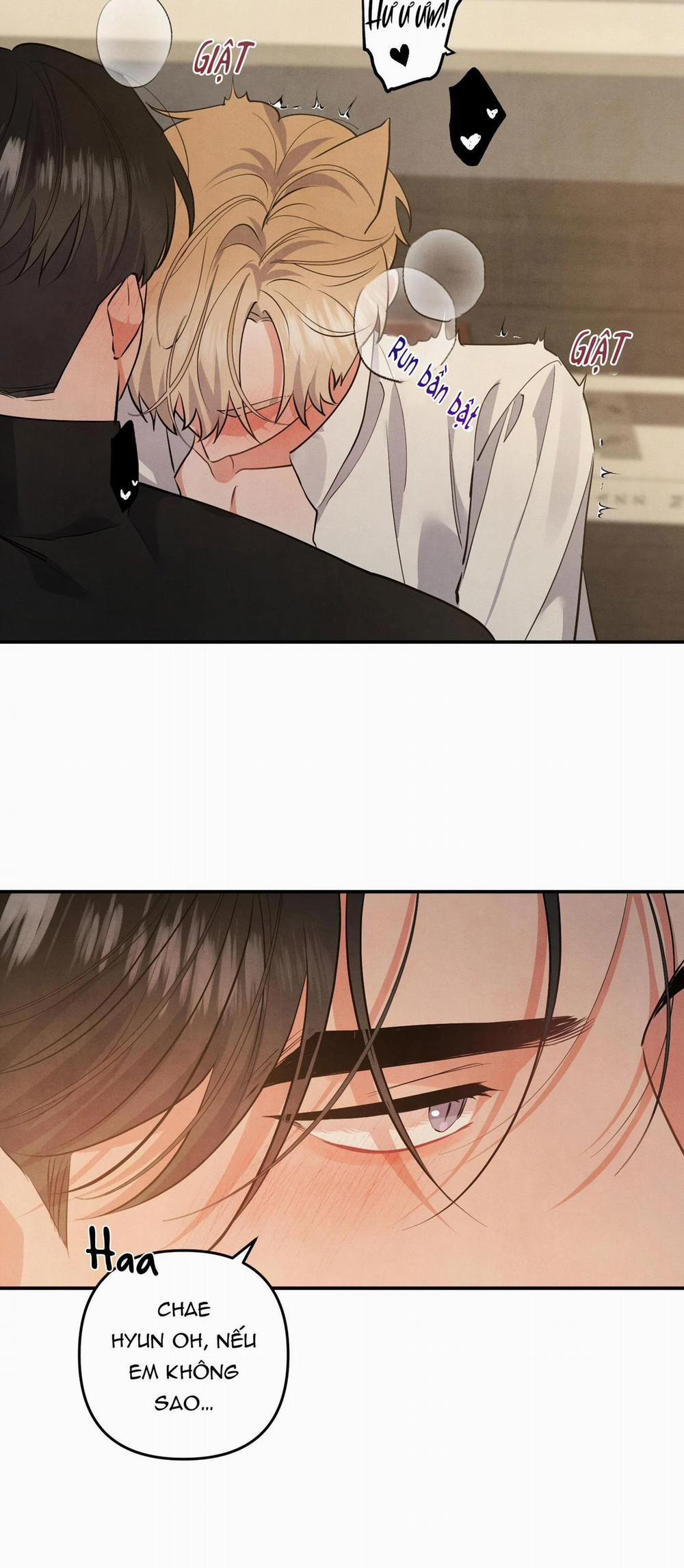 Mối Quan Hệ Giữa Chó Và Cún 71 trang 9