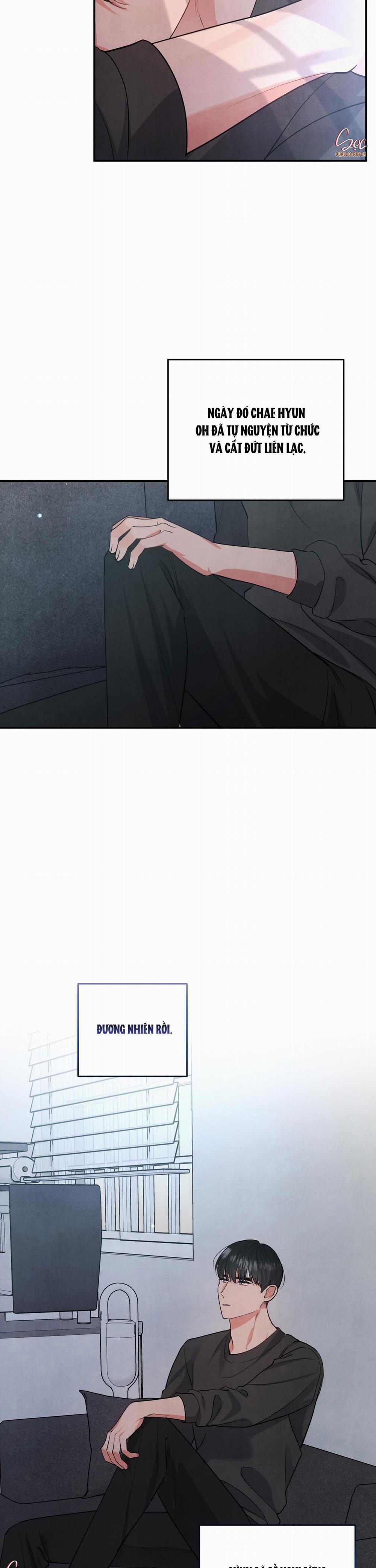 Mối Quan Hệ Giữa Chó Và Cún 72 trang 21