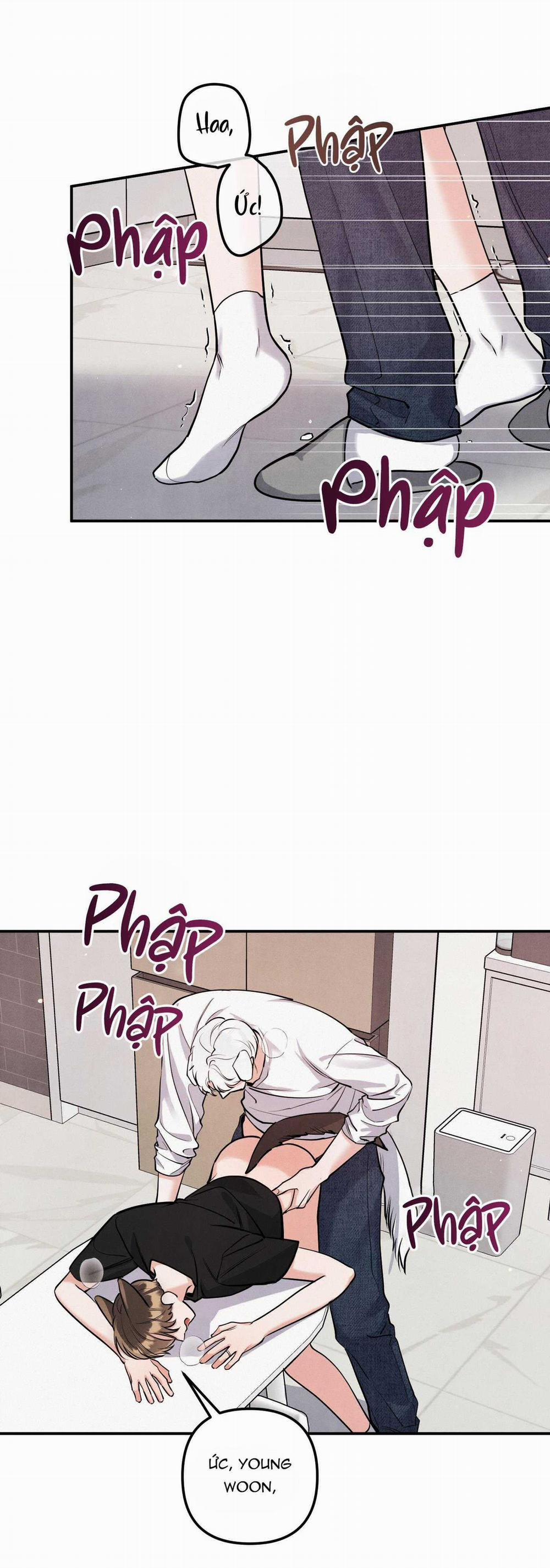 Mối Quan Hệ Giữa Chó Và Cún 80 trang 15