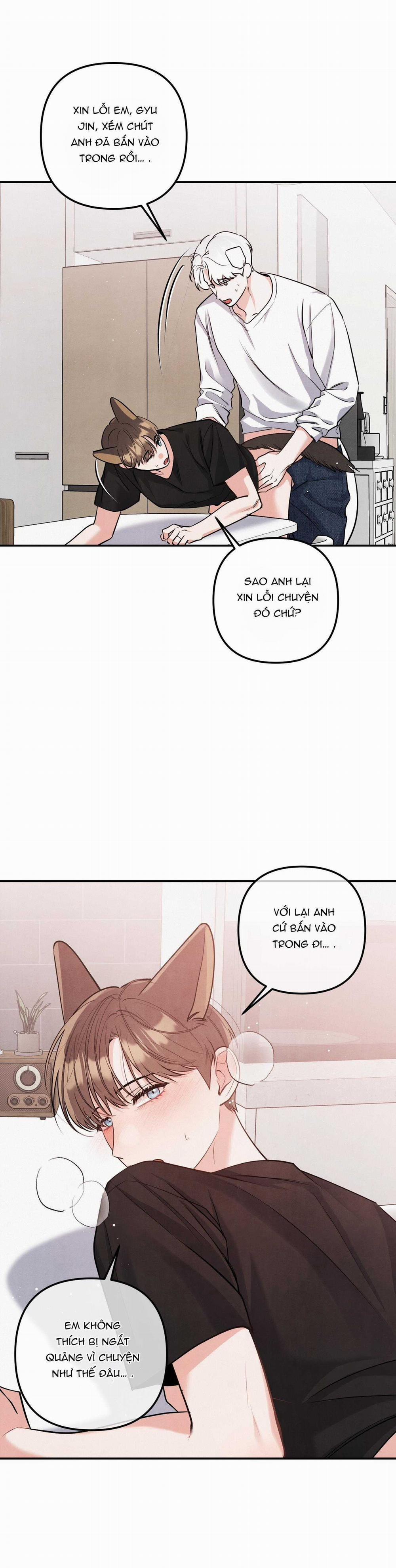 Mối Quan Hệ Giữa Chó Và Cún 80 trang 19