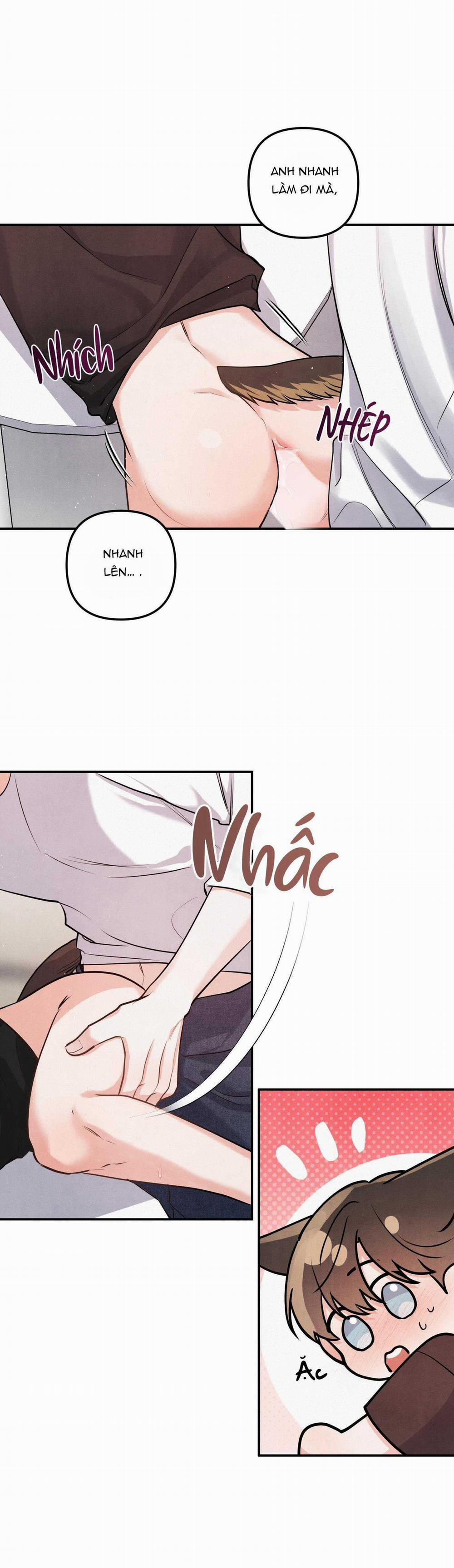 Mối Quan Hệ Giữa Chó Và Cún 80 trang 20