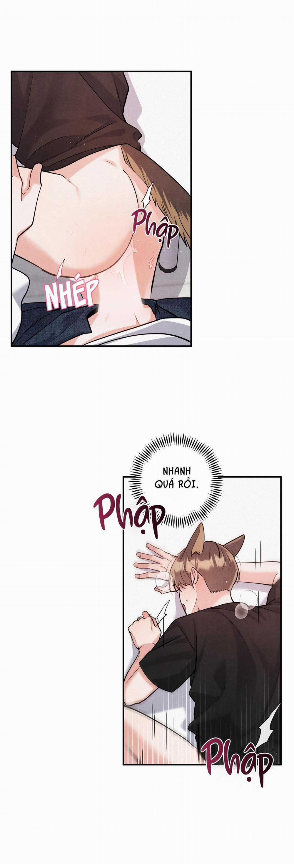 Mối Quan Hệ Giữa Chó Và Cún 80 trang 24