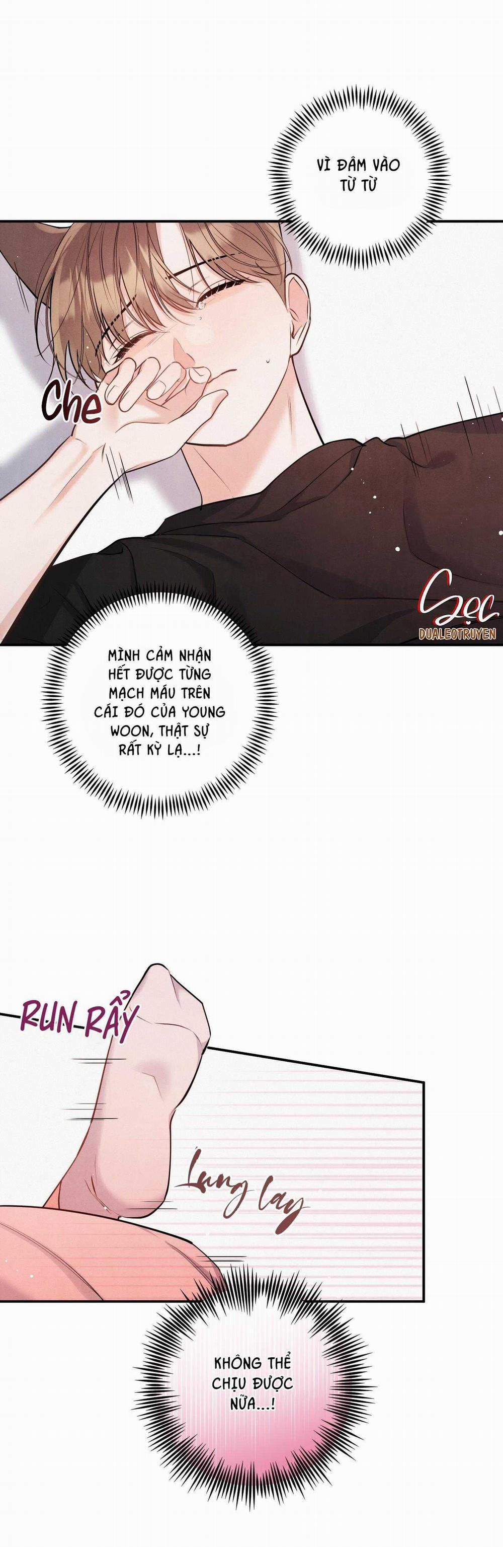 Mối Quan Hệ Giữa Chó Và Cún 80 trang 30