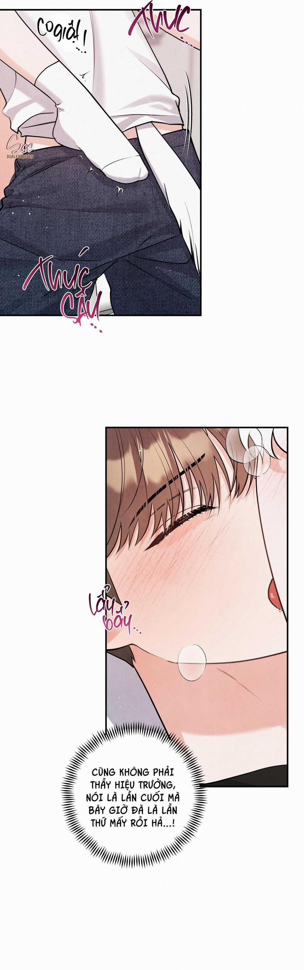 Mối Quan Hệ Giữa Chó Và Cún 81 trang 13