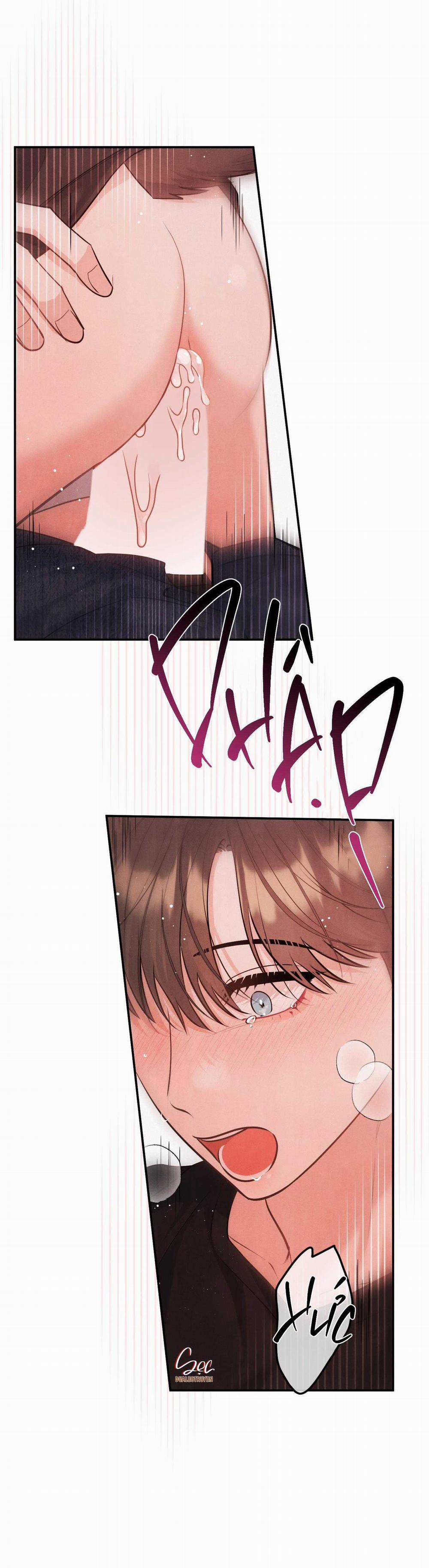 Mối Quan Hệ Giữa Chó Và Cún 81 trang 35