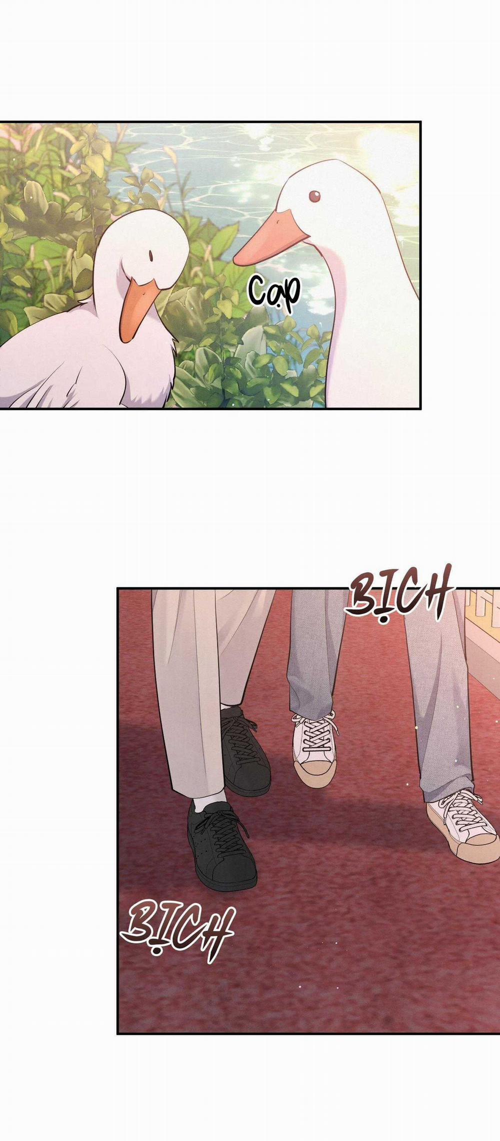 Mối Quan Hệ Giữa Chó Và Cún 85 trang 38