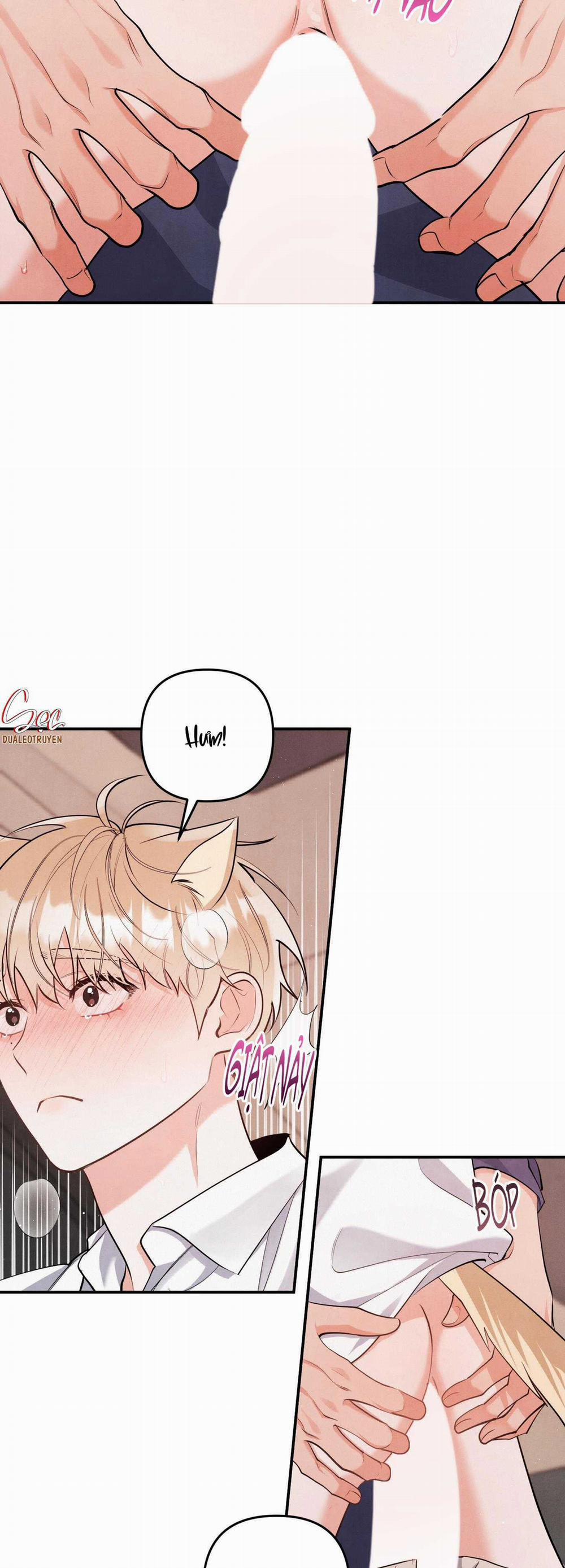 Mối Quan Hệ Giữa Chó Và Cún 86 trang 21