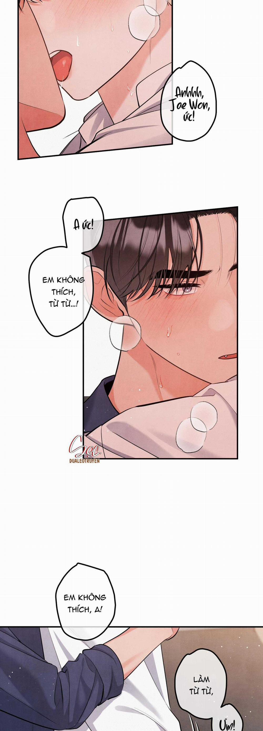 Mối Quan Hệ Giữa Chó Và Cún 86 trang 29