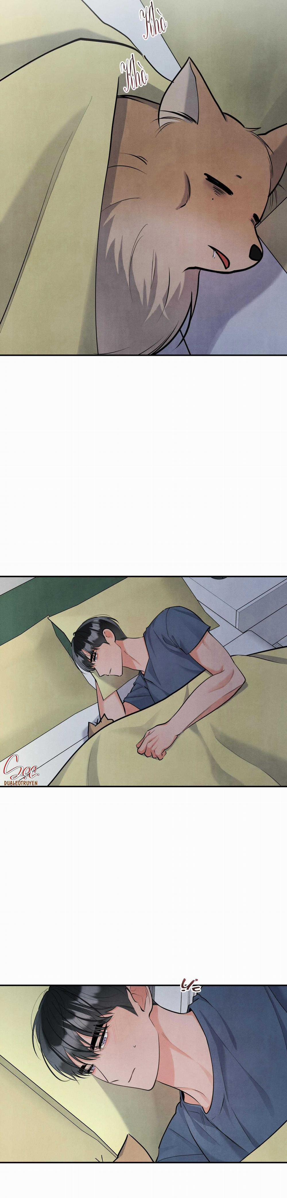 Mối Quan Hệ Giữa Chó Và Cún 88 trang 13