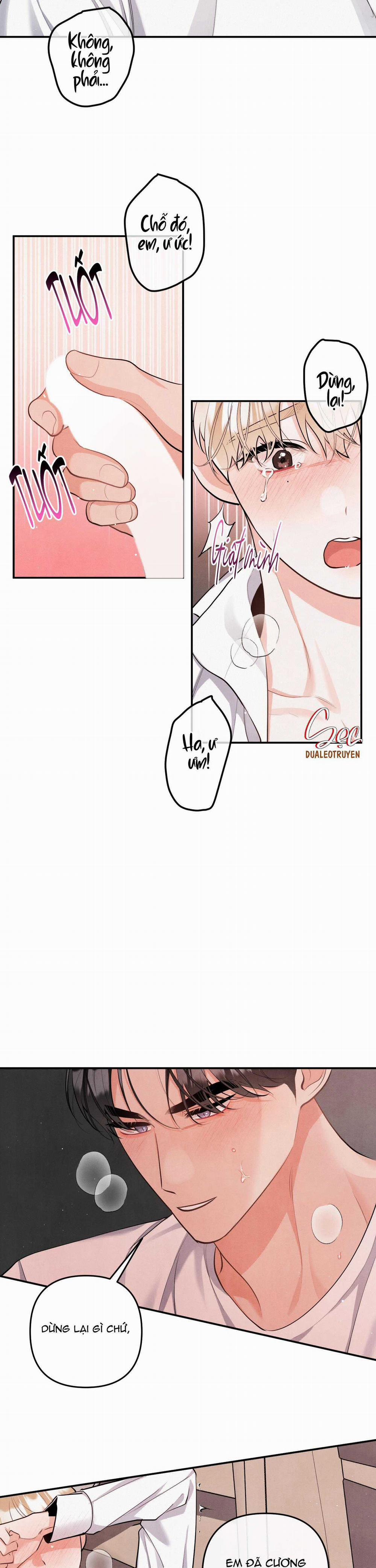 Mối Quan Hệ Giữa Chó Và Cún 88 trang 3