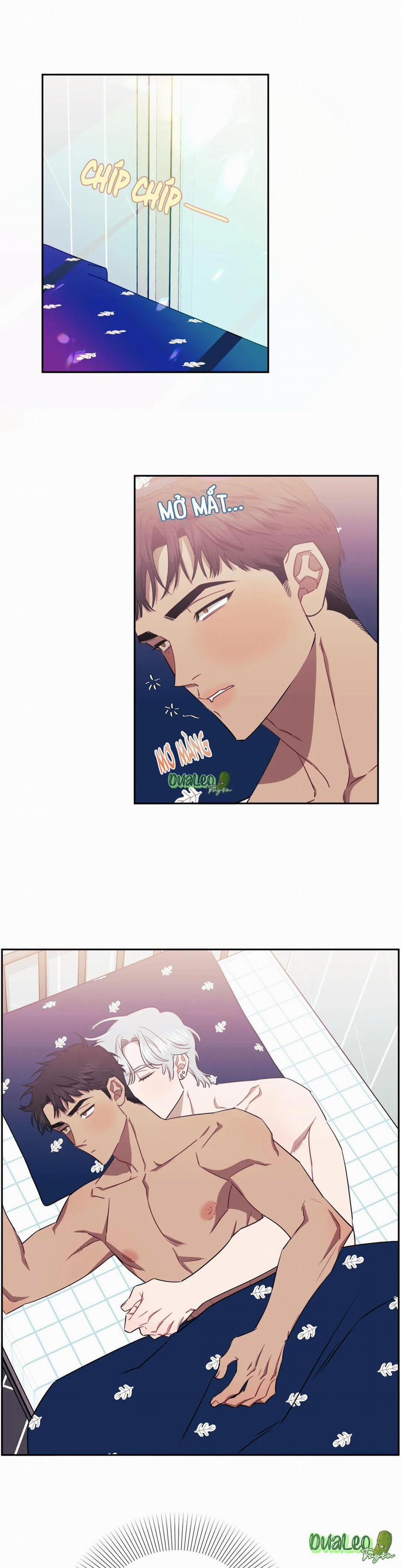 Mối quan hệ không bằng người dưng 31 trang 0