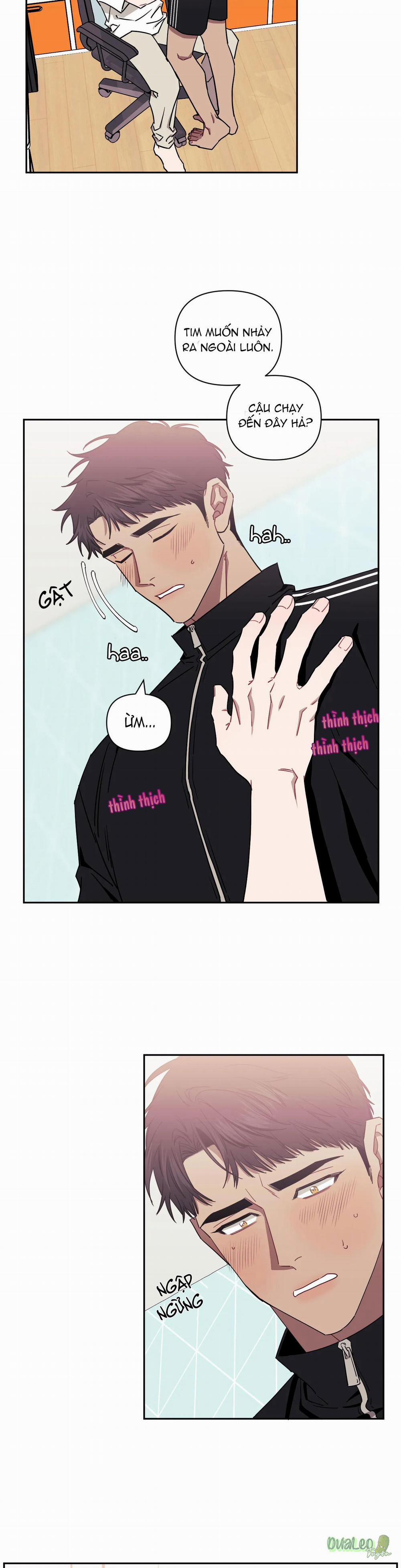 Mối quan hệ không bằng người dưng 33 trang 17