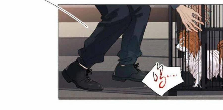 Mối Quan Hệ Không Hoàn Hảo 112 trang 12