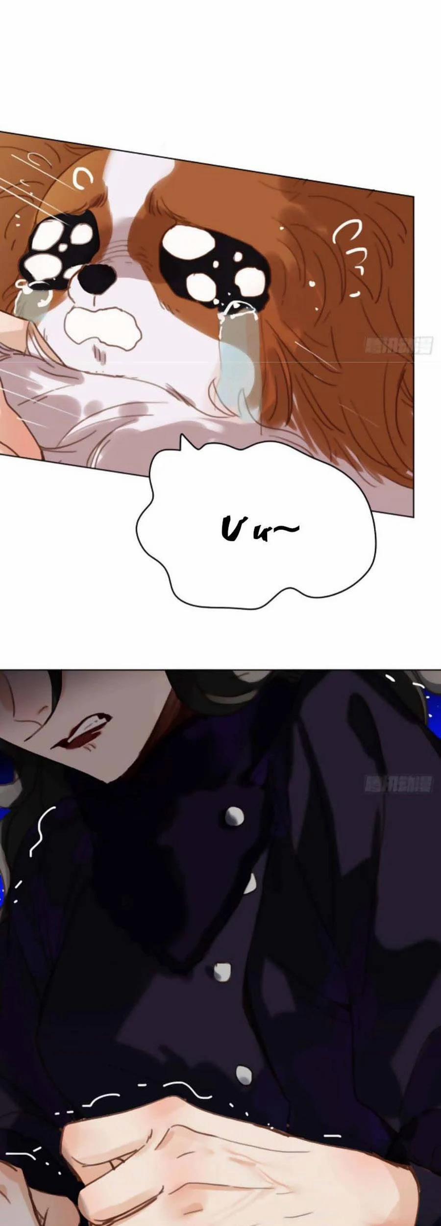 Mối Quan Hệ Không Hoàn Hảo 115 trang 34