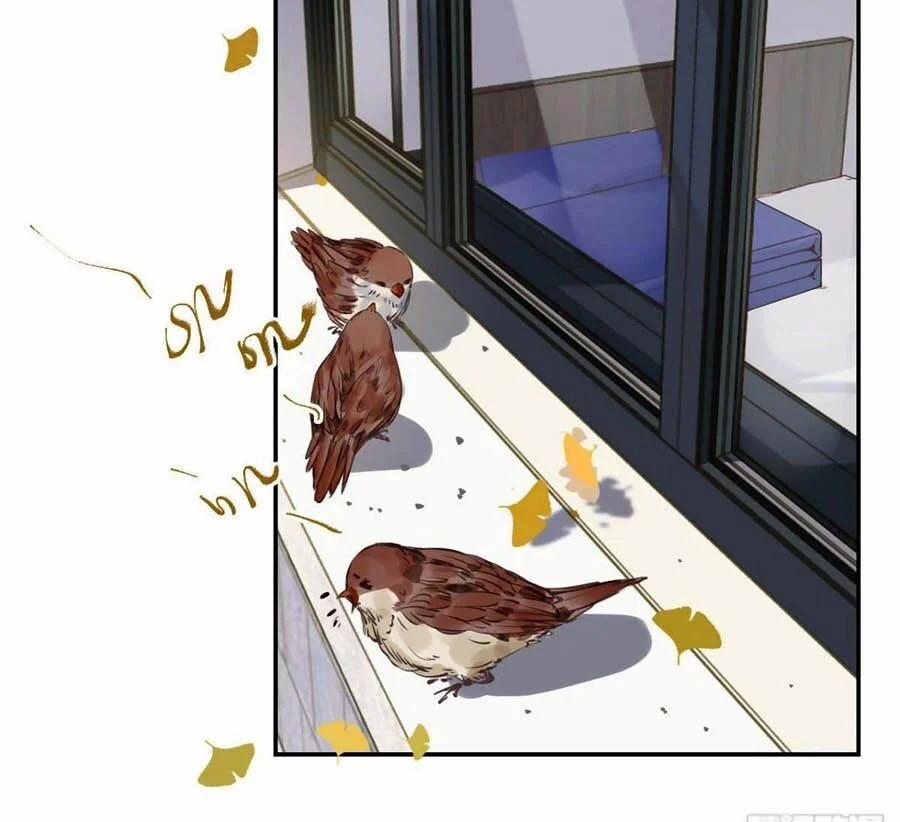 Mối Quan Hệ Không Hoàn Hảo 47 trang 11