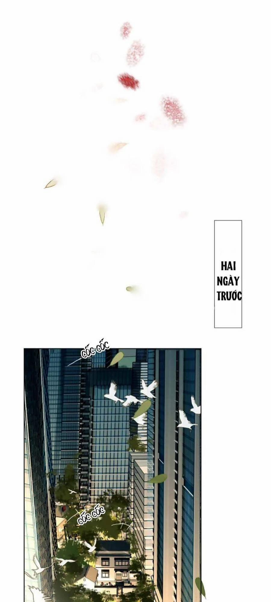 Mối Quan Hệ Không Hoàn Hảo 56 trang 14