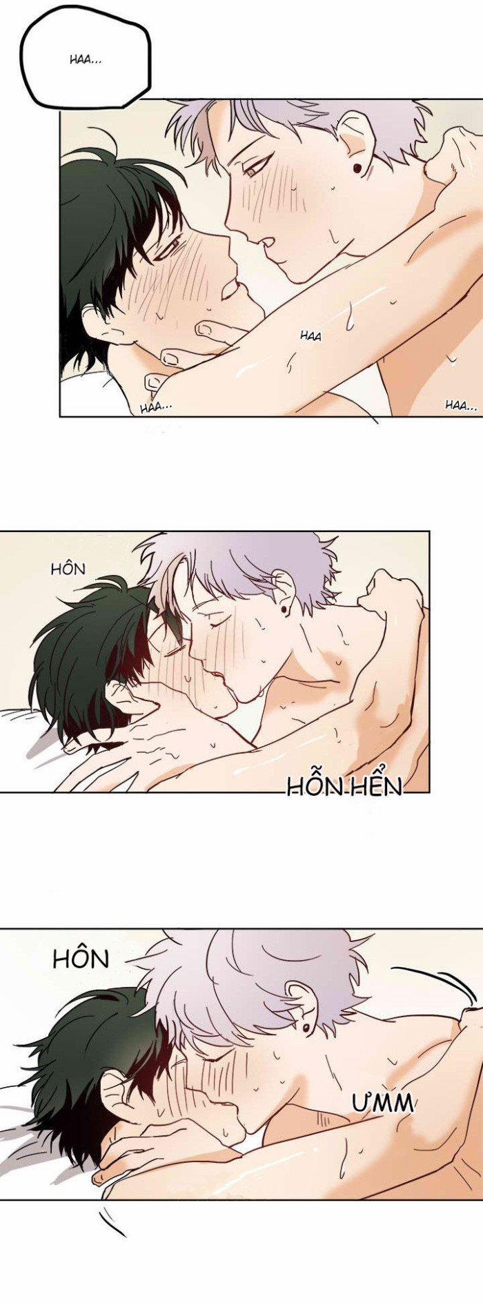 Mối Quan Hệ Lý Tưởng 4 trang 15